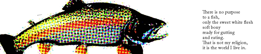 Random header image... Refresh for more!