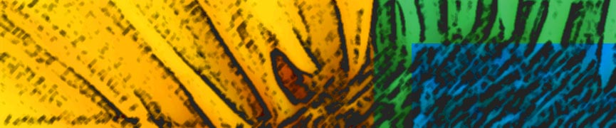 Random header image... Refresh for more!