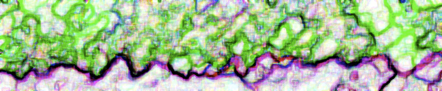 Random header image... Refresh for more!